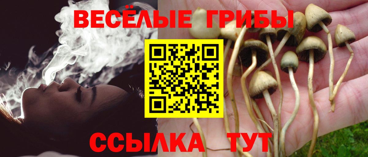 Галлюциногенные грибы GOLDEN TEACHER  Вход с VPN  Кушва 